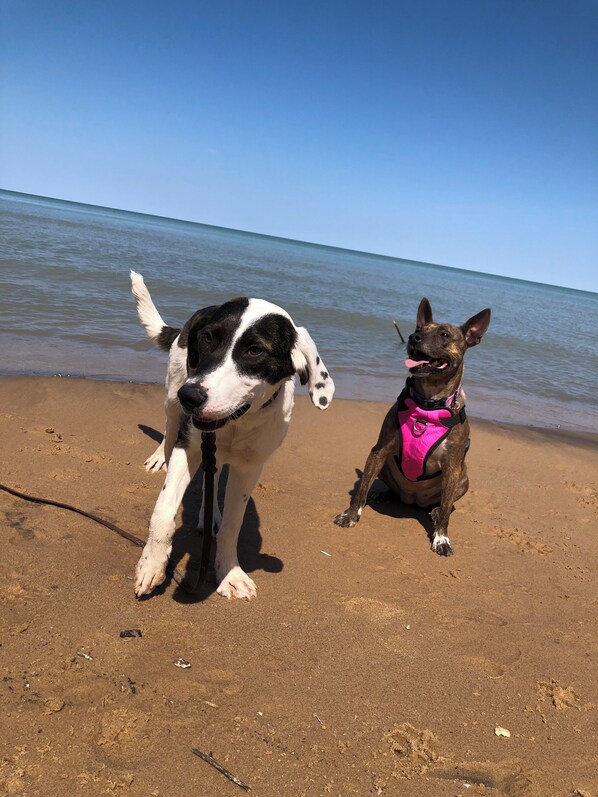 Plage à proximité