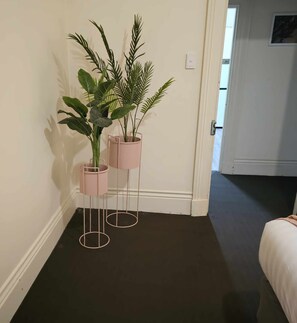 Stylish hallway with planters and a glimpse of a cozy room beyond.