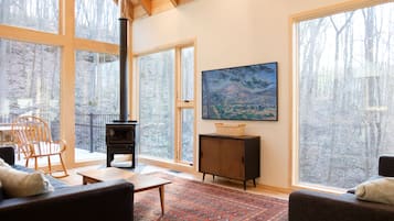 Smart TV, fireplace