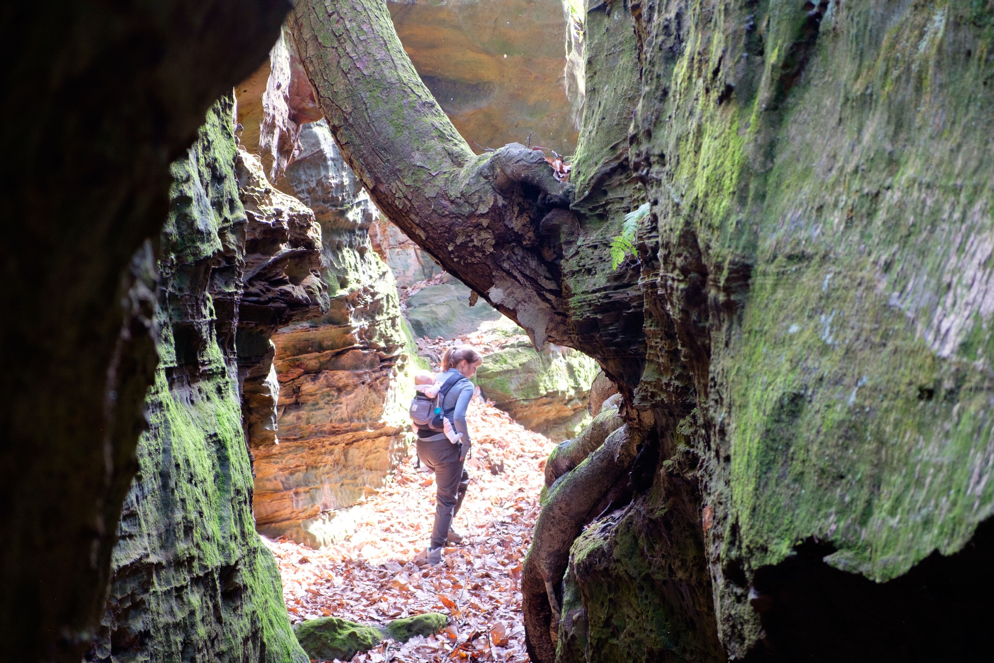 Un canyon étroit dans lequel une personne fait de la randonnée.