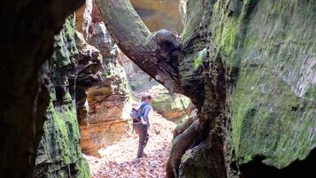 Un canyon étroit dans lequel une personne fait de la randonnée.