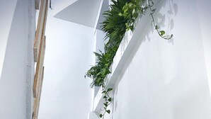 A white wall with a climbing plant and a wooden beam. - Corazon de Teco (Tecolutla)