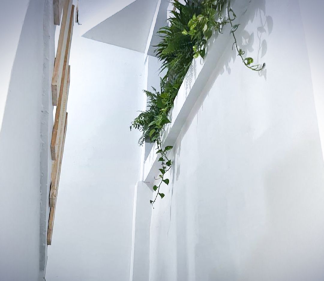 Pared blanca con una planta trepadora y una viga de madera.