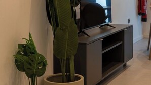 Een modern interieur met een grote potplant, een flatscreen-tv en een brandblusser aan de muur.
