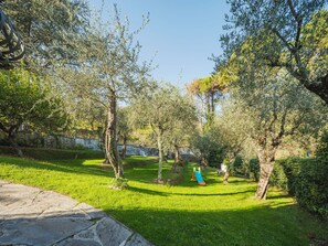 Property grounds - Beautiful private villa for 8 guests with WIFI, private pool, A/C, TV, patio and pets allowed (Massarosa)