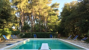 Ein rechteckiger Swimmingpool mit klarem, blauem Wasser, umrahmt von Steinplatten. Am Poolrand befinden sich blaue Liegestühle und eine weiße Liege.