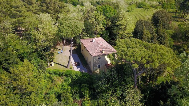 Ein ländliches Haus, umgeben von dichtem Grün und Feldern.