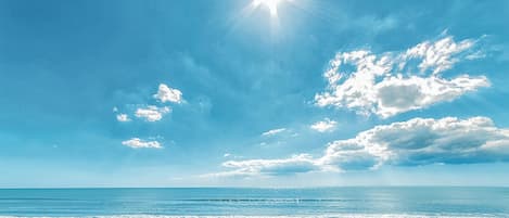 Vlak bij het strand, vissen