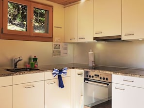 Microondas, horno, lavavajillas y periquera