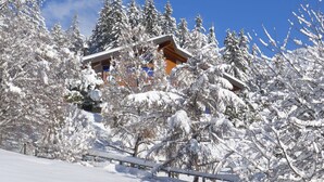 A snow-covered lodge with a wooden exterior and multiple windows, surrounded by snow-laden trees. - Wonderful  villa for 6 people with WIFI, TV and terrace (Bluche)