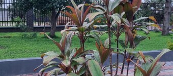 2BR/Cottage/Swimming Pool/Near Airport