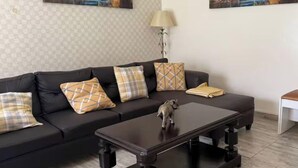 A living room with a dark sofa, patterned cushions, a small elephant figurine on the coffee table, and two paintings on the wall.