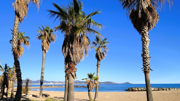 Beach - Beautiful apartment for 8 guests with WIFI, pool, TV, patio and pets allowed (Fréjus)