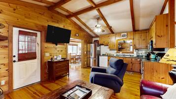 電視、壁爐、DVD 播放機、書籍