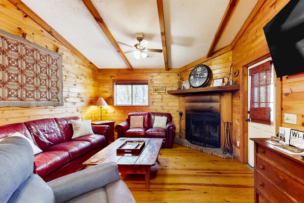 Televisión, chimenea, reproductor de DVD, libros