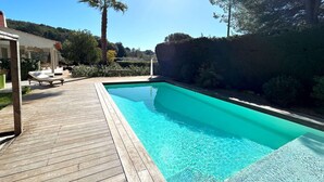 Ein klares, blaues Schwimmbecken mit einer Holzterrasse, umgeben von Grünpflanzen und einer Palme.