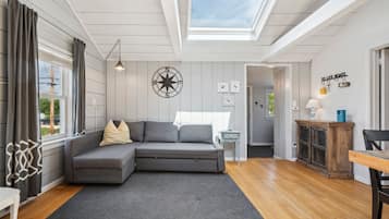 Fernseher, Arbeitsbereiche