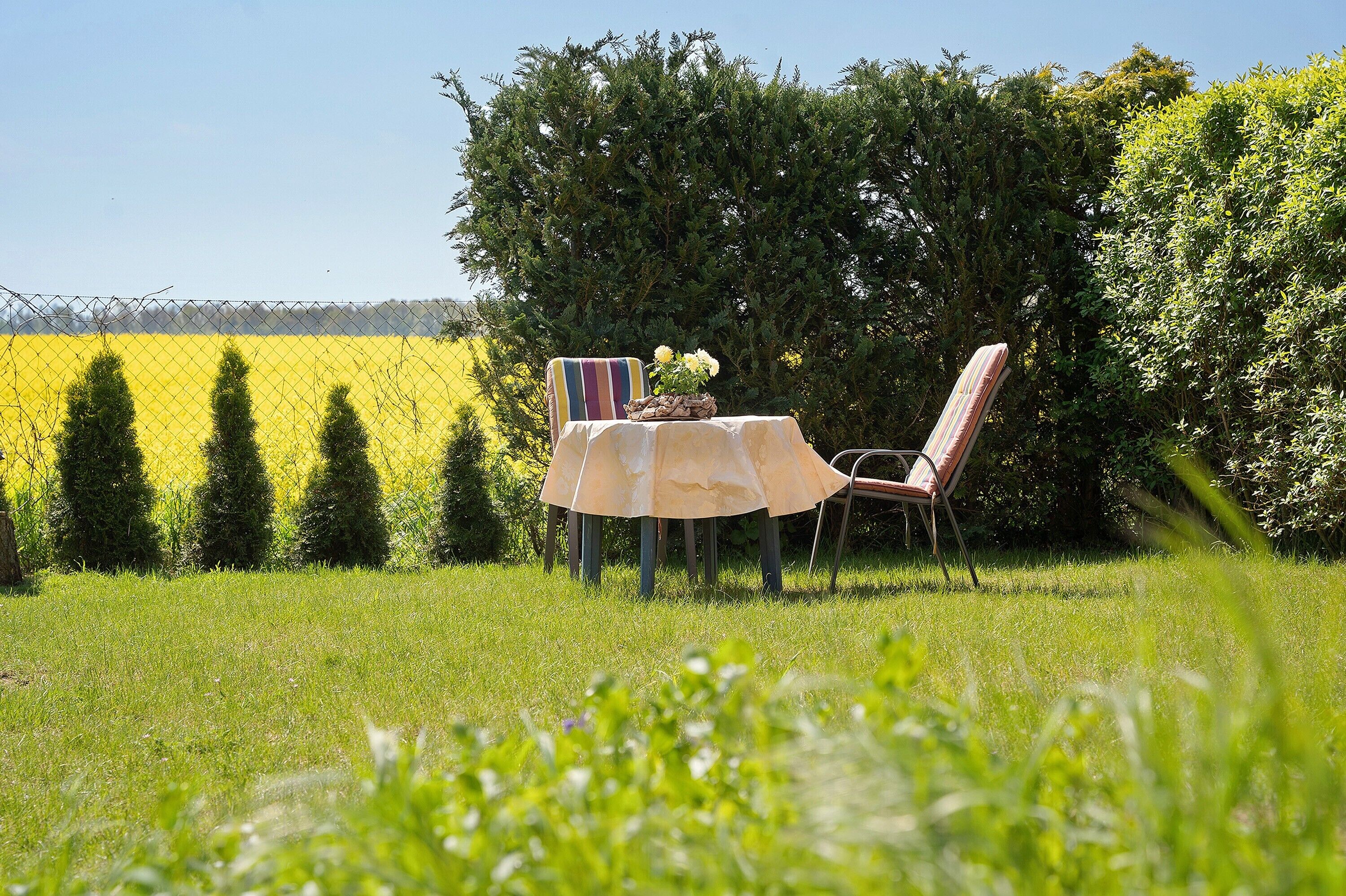 A table with a tablecloth and chairs in a grassy area with a hedge and trees in the background.