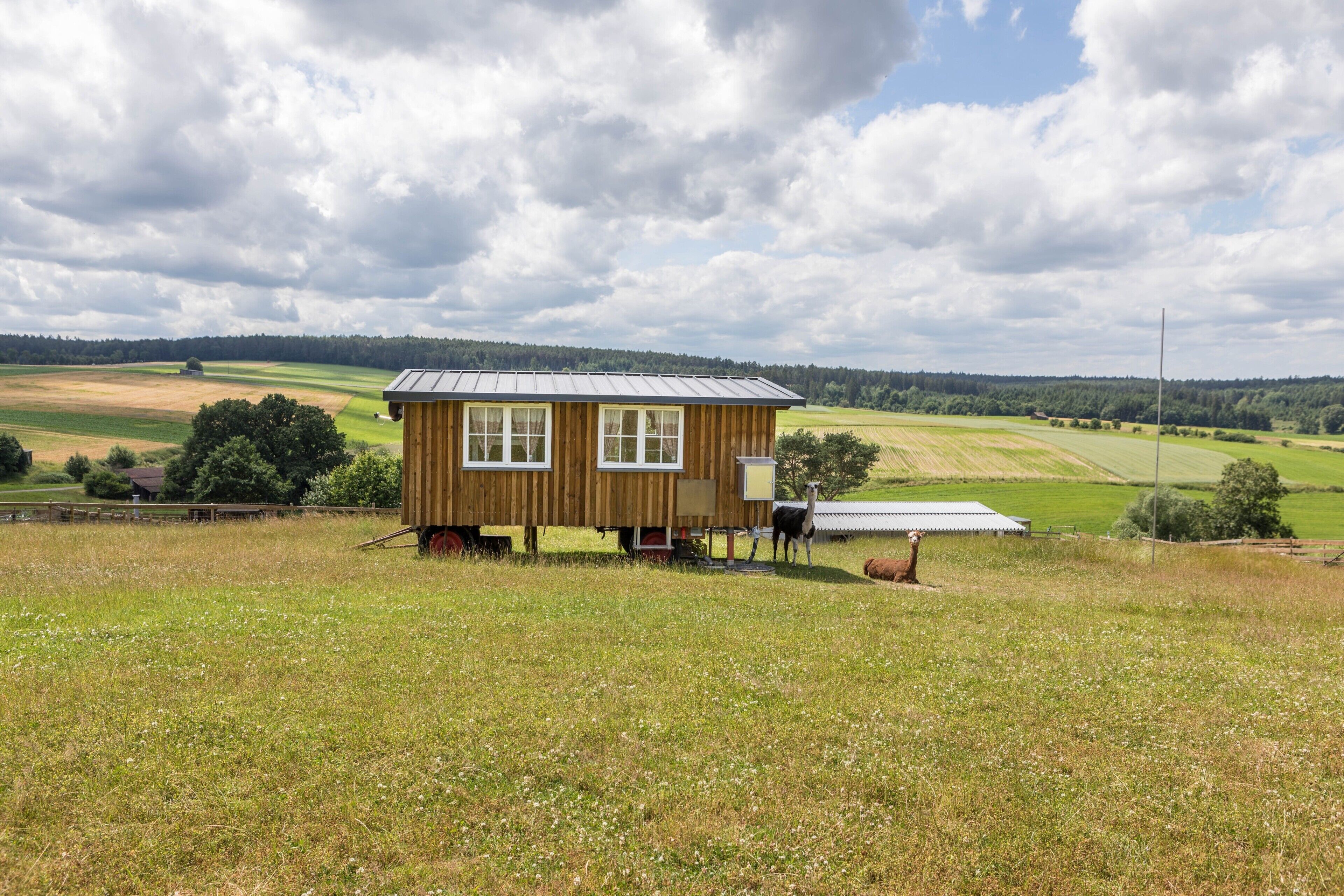A wooden cabin with a metal roof, situated in a grassy field with a view of rolling hills and a cloudy sky.