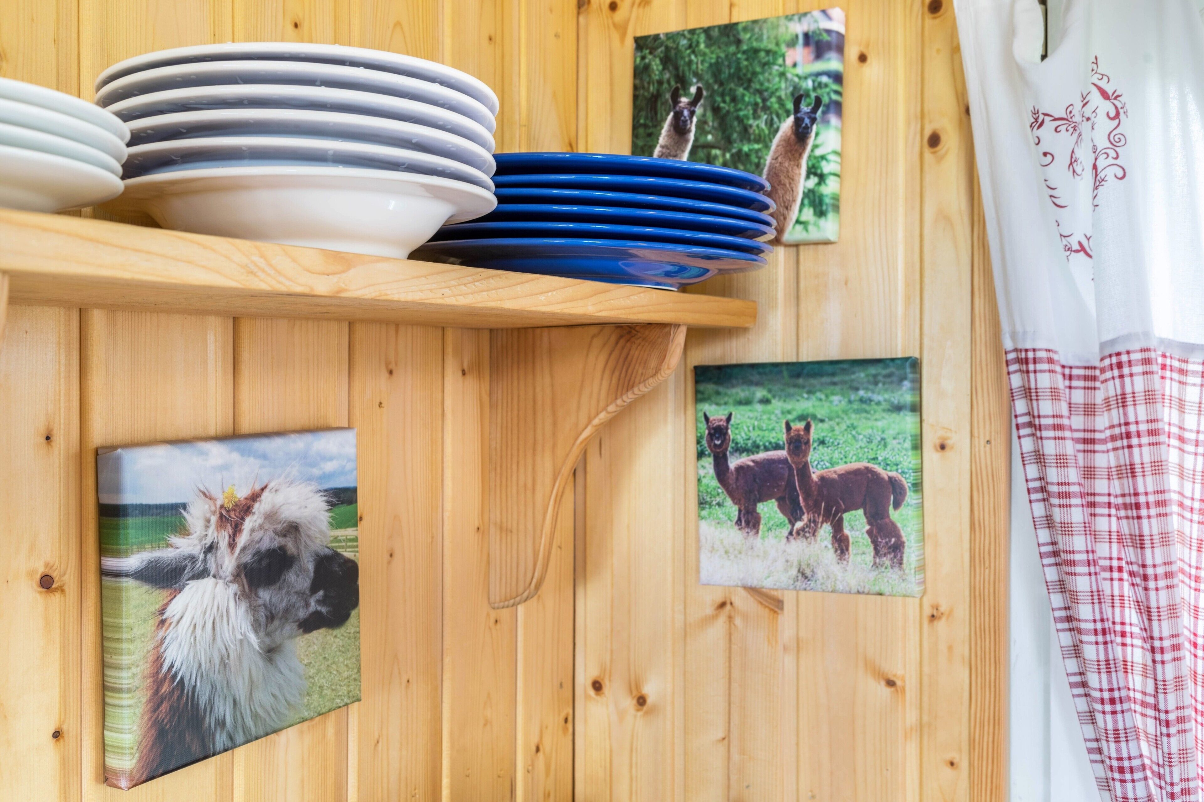 A wooden wall with a shelf holding plates and two framed pictures of llamas.