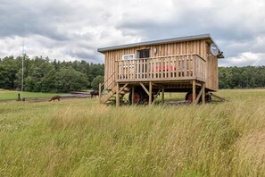 Exterior - Holiday Home 'Tinyhouse Alpakawiese' with Private Terrace and Shared Garden (Schlitz)