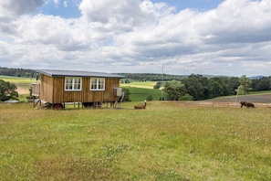 Une cabane en bois avec un toit en métal, construite sur pilotis dans un champ herbeux, offrant une vue sur une zone boisée en arrière-plan.