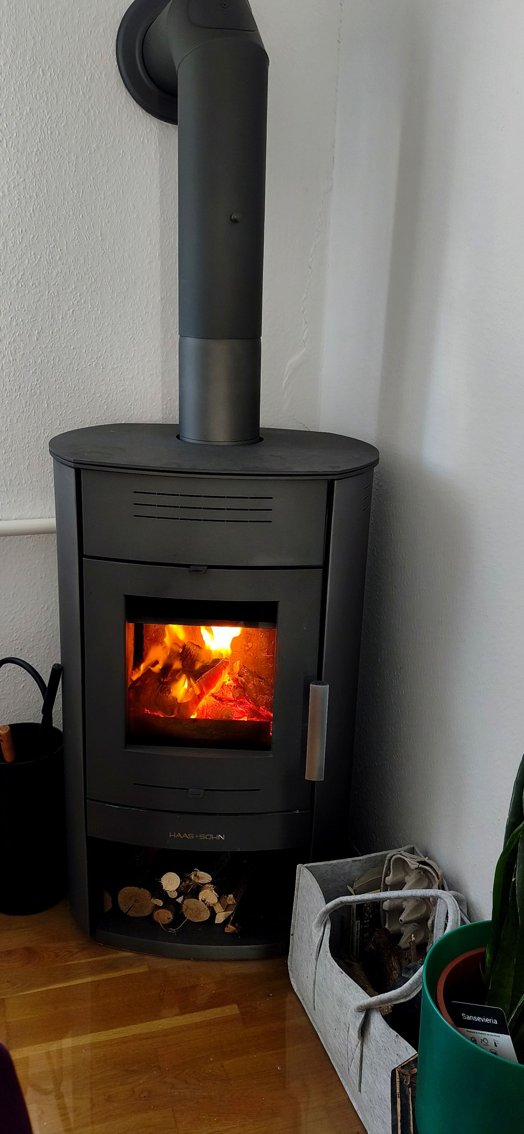 A wood-burning stove with a visible fire, a black chimney, and a label reading 'Haas-Sohn'.