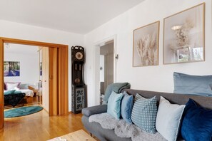 Televisión, chimenea, reproductor de DVD