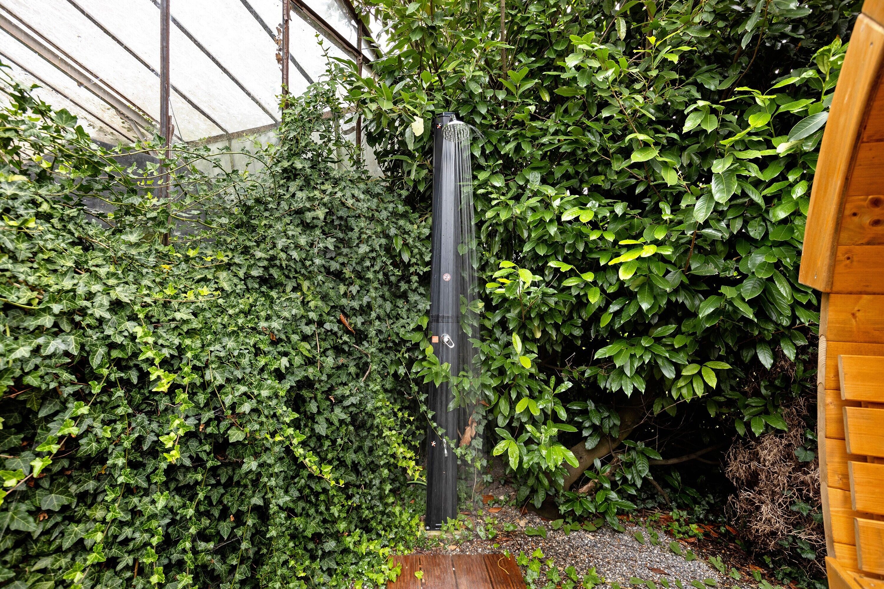 A vertical garden with dense foliage, a wooden structure on the right, and a tall, narrow column in the center.