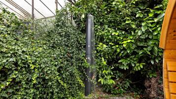 A vertical garden with dense foliage, a wooden structure on the right, and a tall, narrow column in the center.