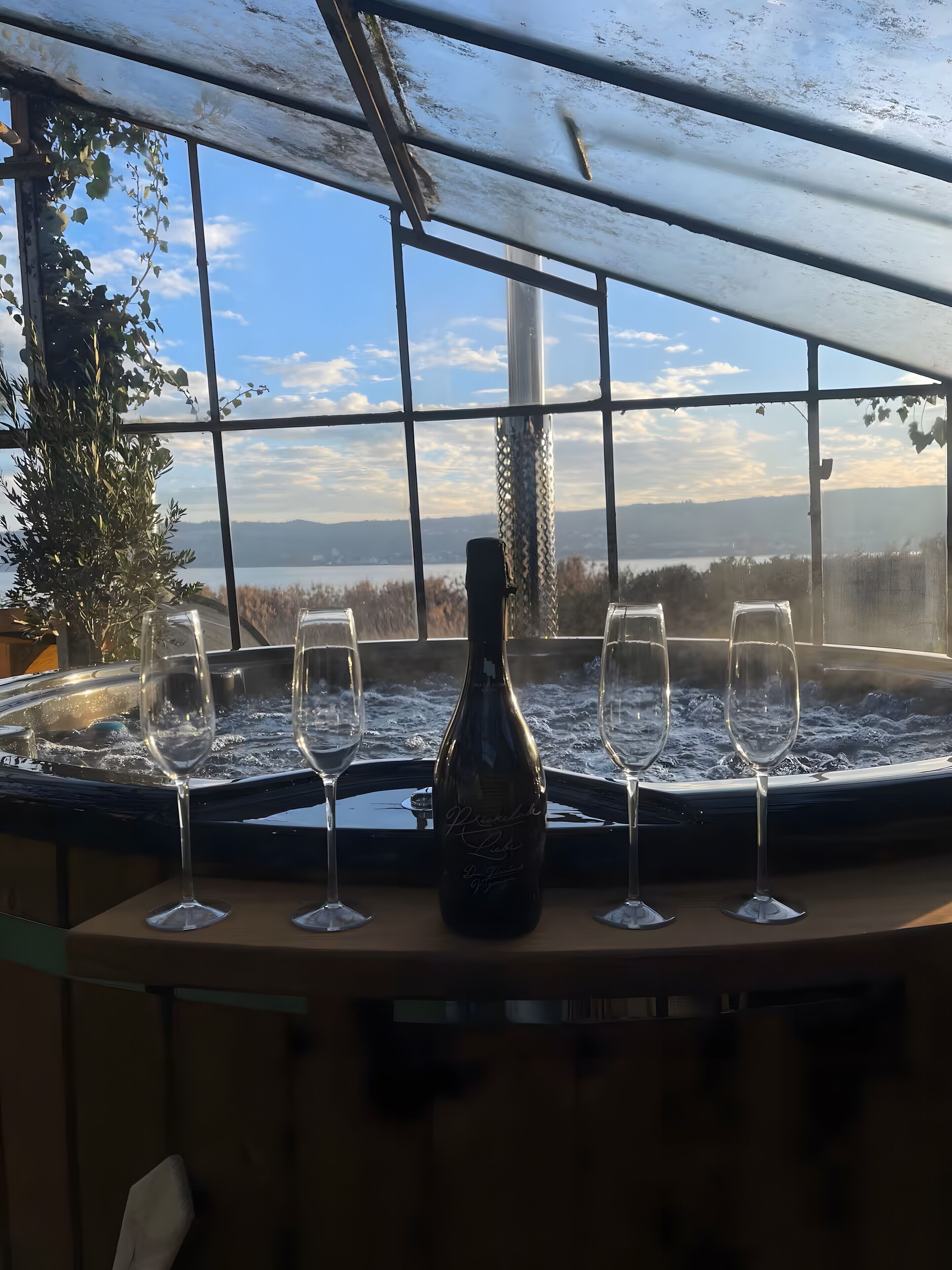 A hot tub with four glasses and a bottle, a window with a view of mountains and a lake, and a plant on the left.