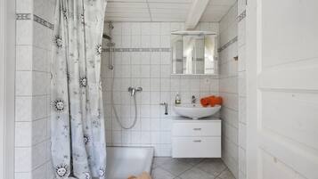 Shower, hair dryer