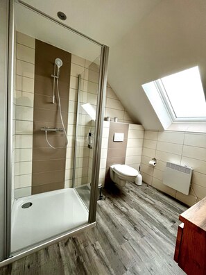 Une salle de bain avec une douche à parois de verre, des toilettes, un radiateur et un puits de lumière.