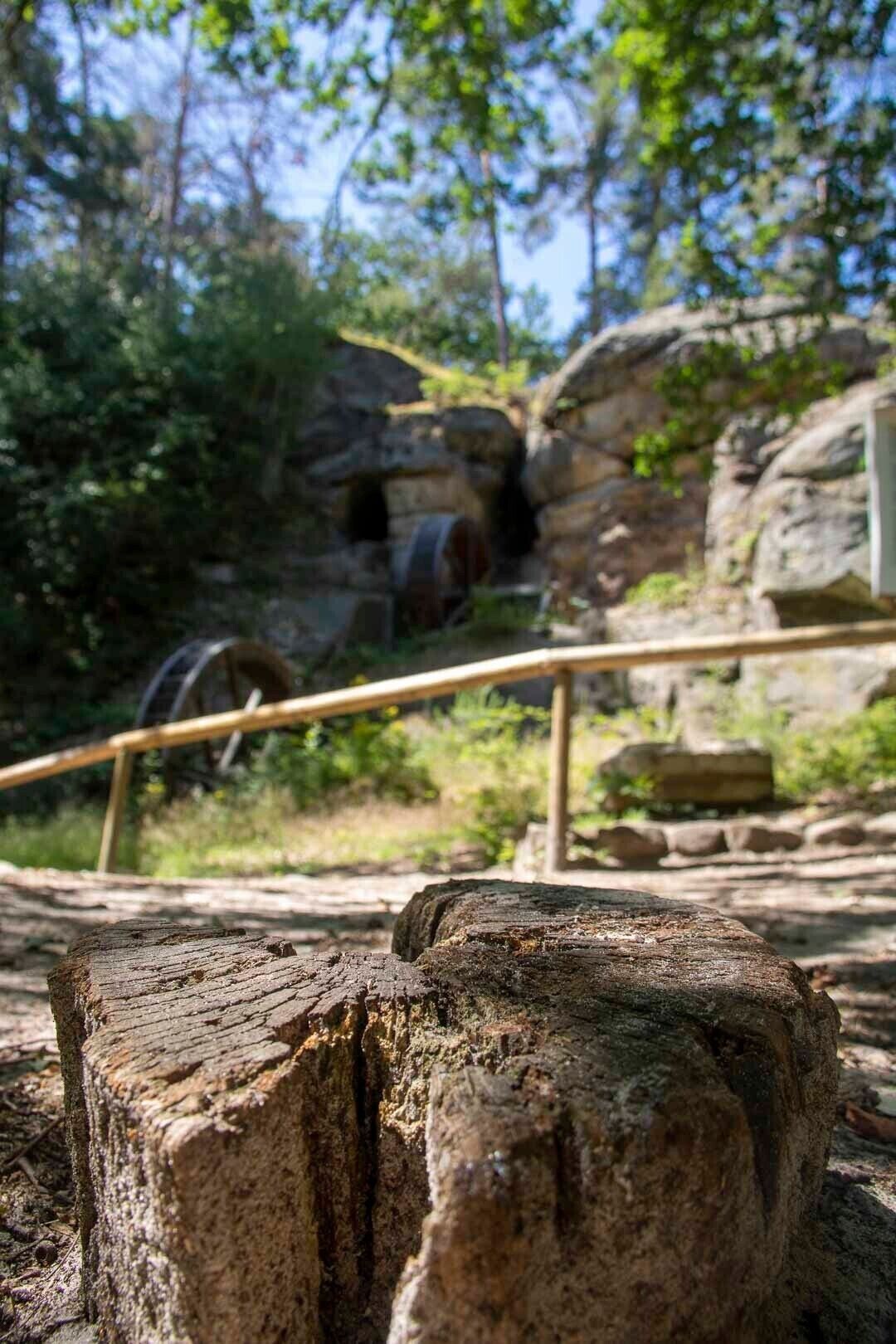 المنطقة المحيطة بالمنشأة