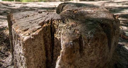 Villa 'Ferienwohnung Kleine Hexe' mit Gemeinschaftsterrasse, Gemeinschaftsgarten und WLAN
