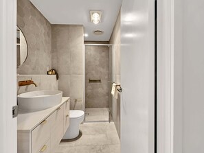 Shower, hair dryer, towels