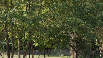 Enceinte de lâhĂ©bergement