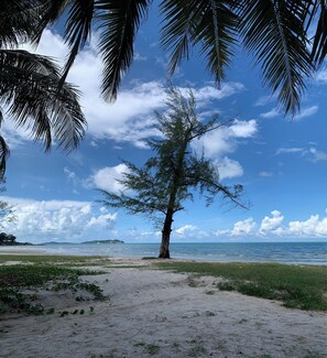 A beach with a lone tree, clear sky, and calm sea.