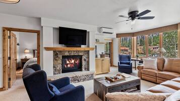 Smart TV, fireplace, books