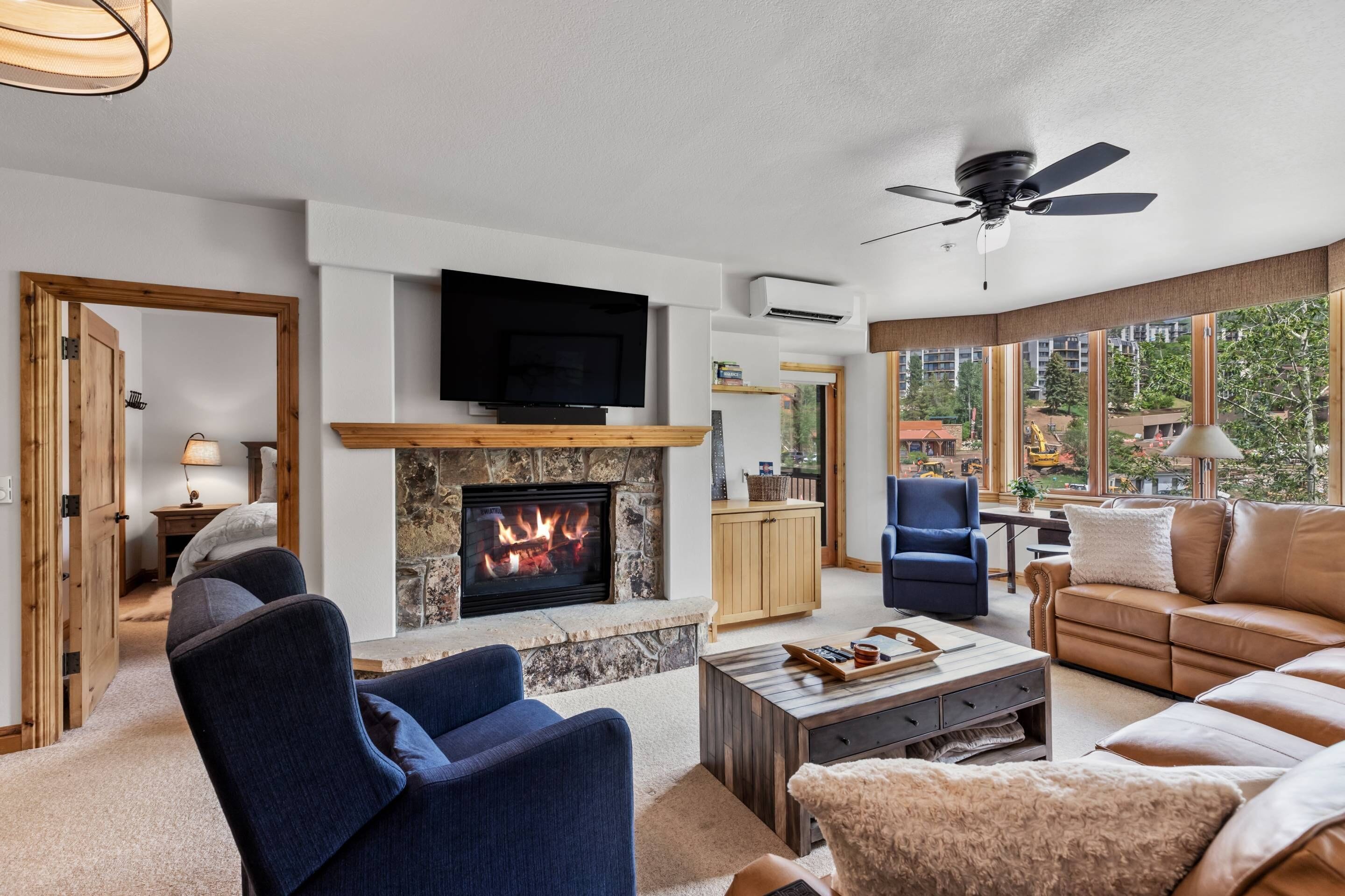 Smart TV, fireplace, DVD player, books