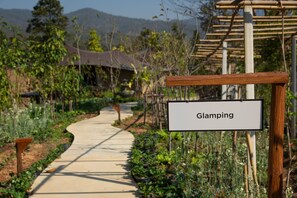 Garden - CAMP CAYLA - STELLAR (Mae Wang)