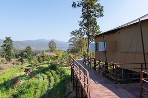 Property entrance - CAMP CAYLA - STELLAR (Mae Wang)