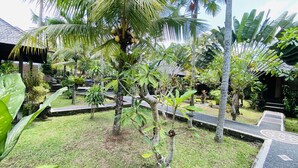 Un jardín tropical con palmeras, un sendero y un pequeño estanque.