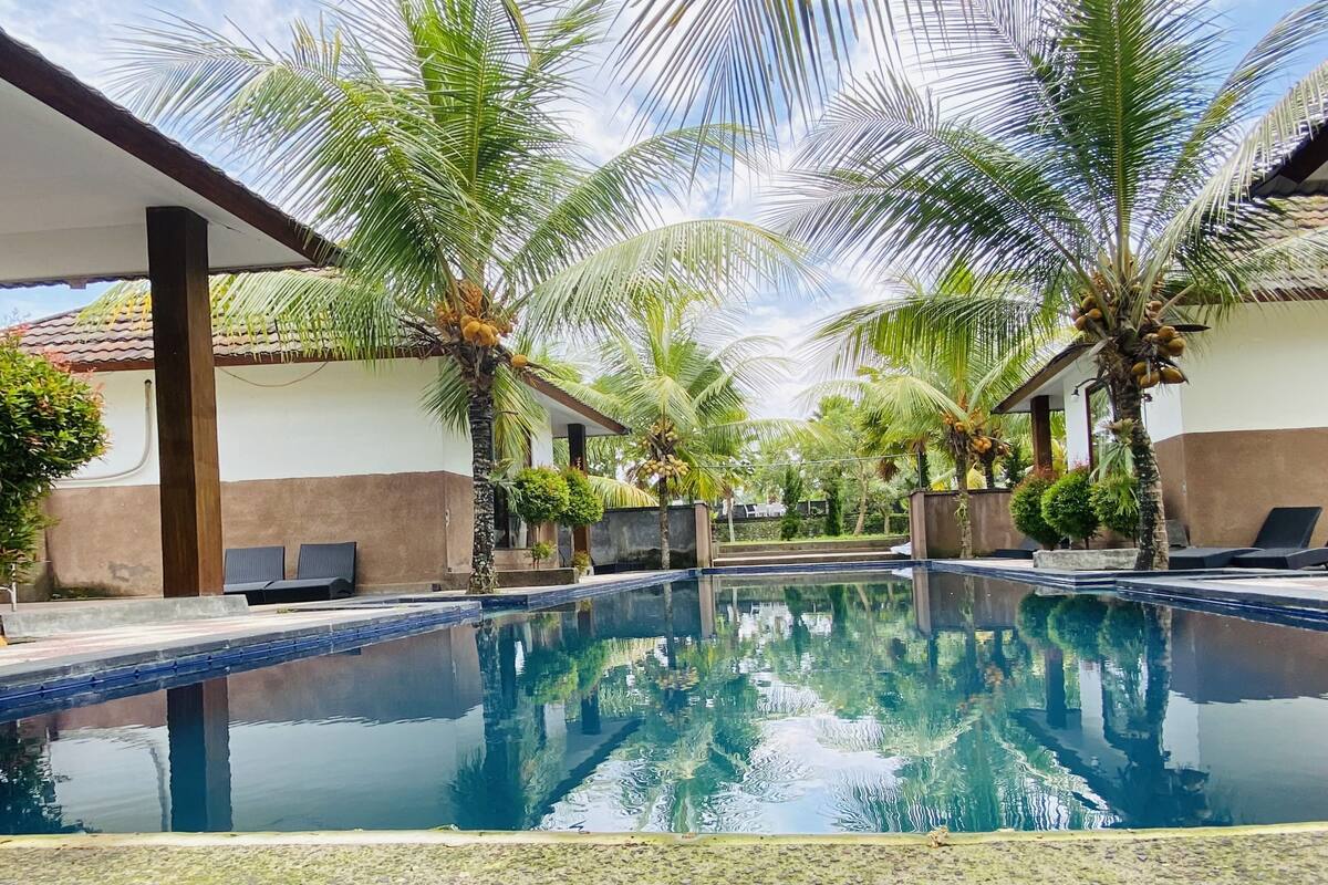 Zona de piscina con sillas de descanso, palmeras y una piscina azul cristalina.
