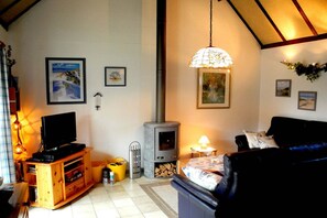 TV connectée, cheminée, lecteur de DVD, chaîne hi-fi