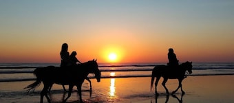 Retraite moderne Seagull's Nest