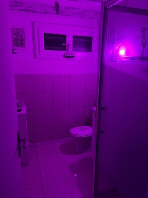 Haartrockner, Handtücher, Toilettenpapier