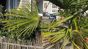 A modern building with a white facade, a wooden fence, and lush green plants in the foreground. - Appartement Terrasse (Royan)