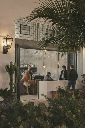 A modern bar with a glass enclosure, cactus plants, and a bartender. - Sleek and Modern Bunk Room on Santa Barbara's State Street! (Santa Barbara)