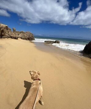 Praia